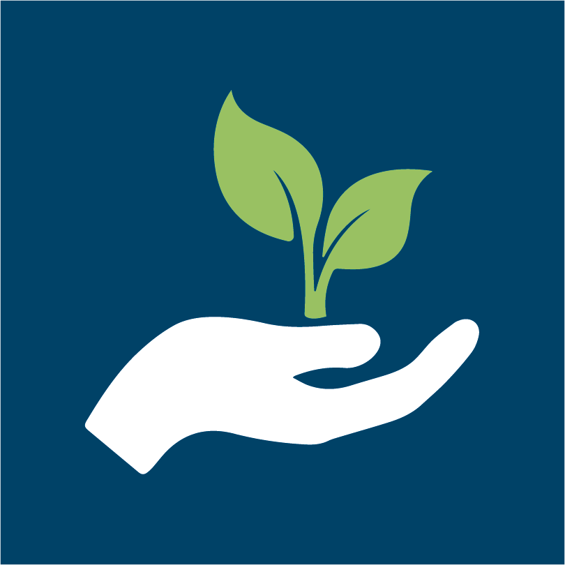 Plant growing from hand animation on blue background